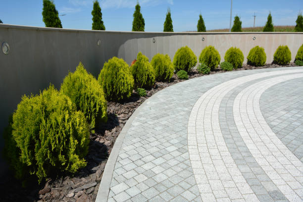 Best Cobblestone Driveway Pavers  in Hargill, TX