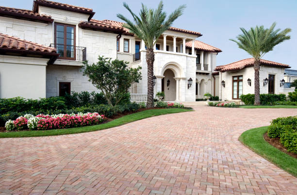 Best Driveway Paving Contractor  in Hargill, TX
